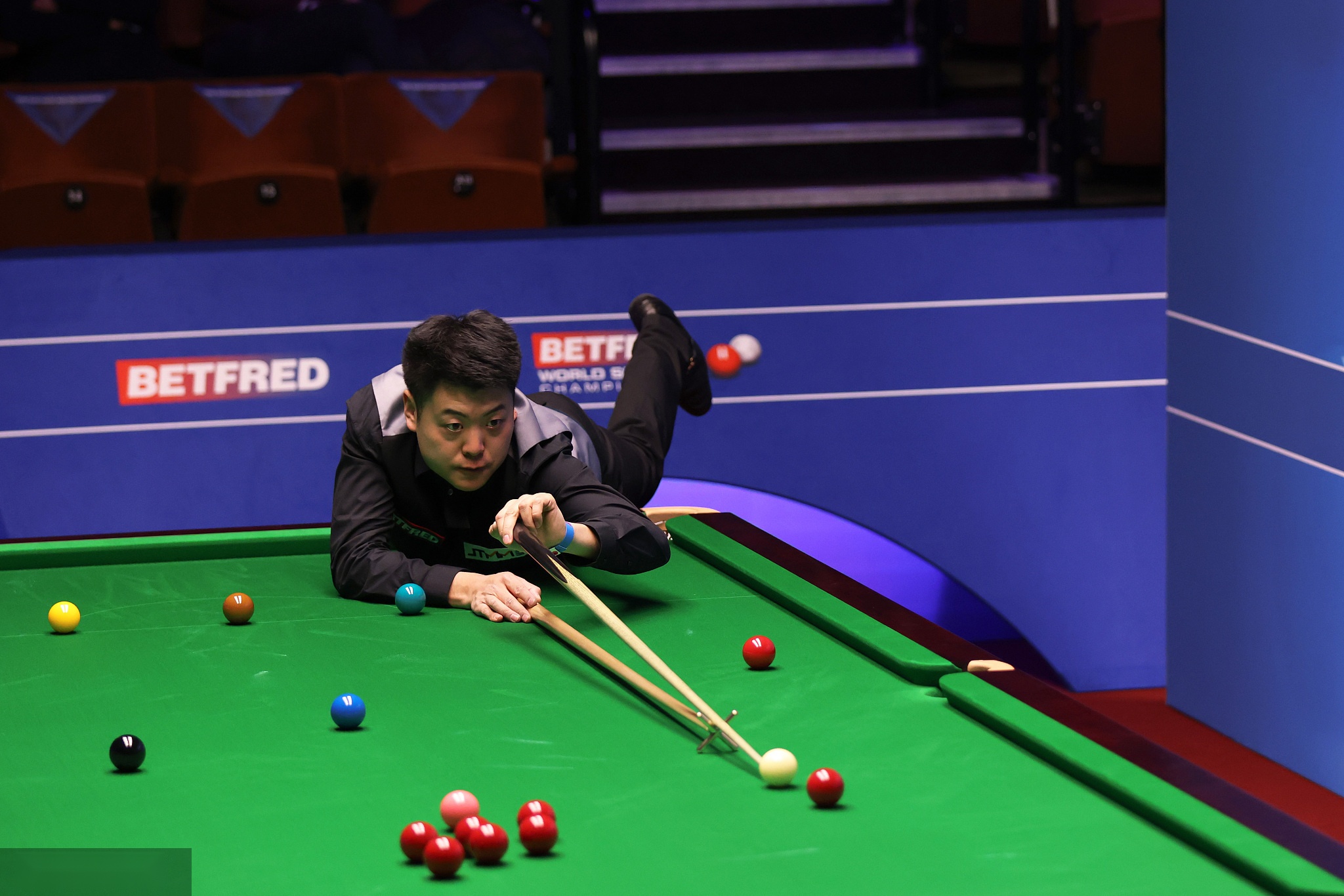 项目的发展 项目的发展