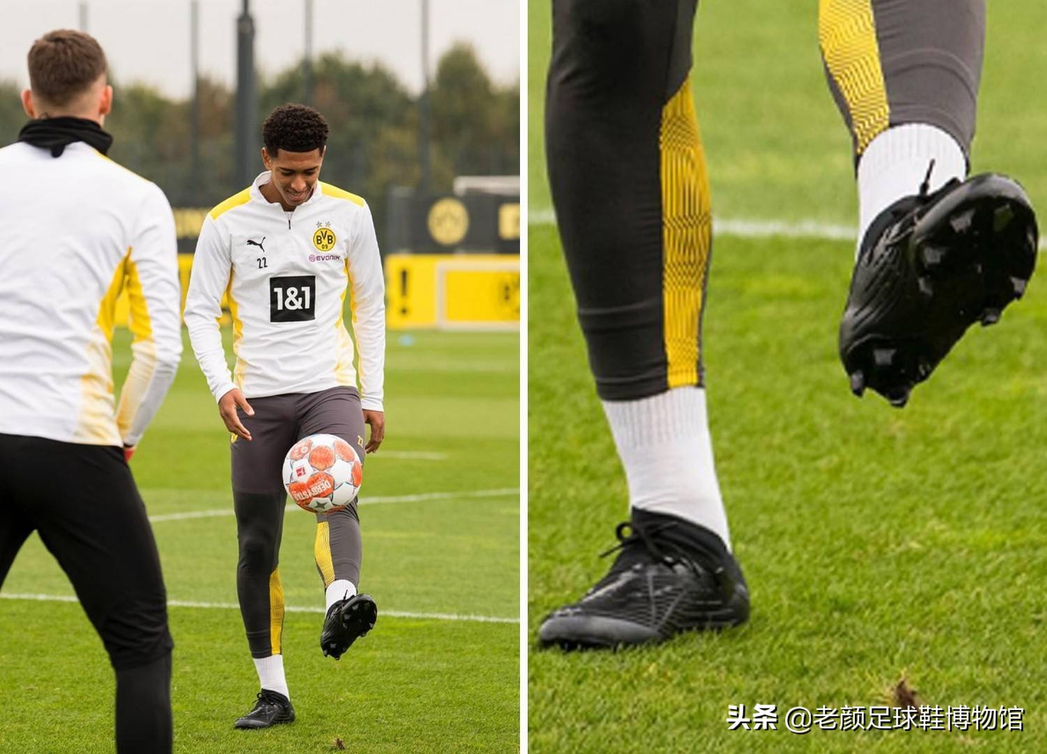 在职业生涯 在职业生涯