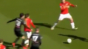 的三位一体 的三位一体